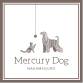 中目黒のドッググッズ販売 トリミングショップ | マーキュリードッグ | Mercury Dog